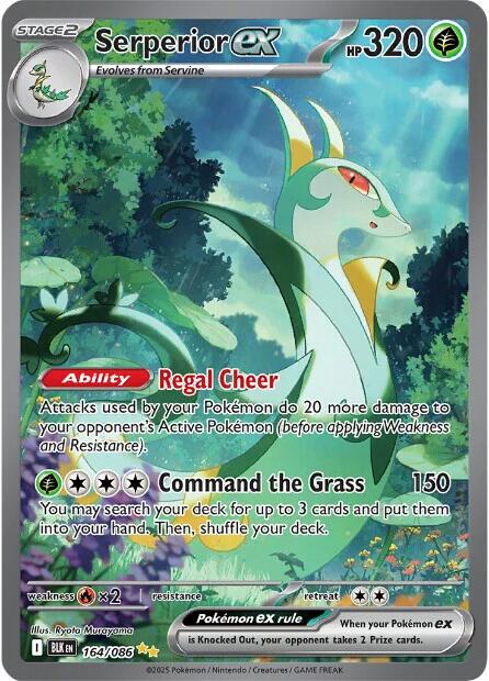 Serperior 164/086