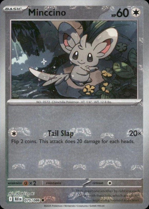 Minccino 075/086 (MASTERBALL)