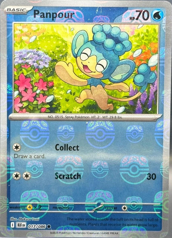 Panpour 017/086 (MasterBall)