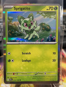 Sprigatito 013/198 Holo