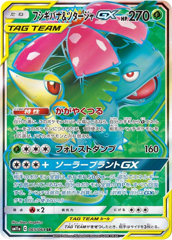 Snivy & Venusaur GX 065/064