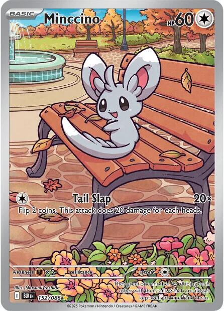 Minccino 152/086