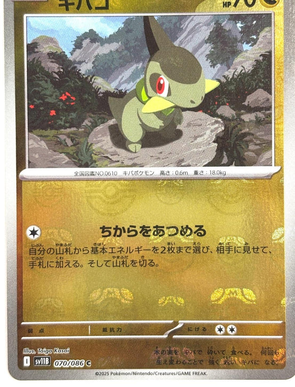 Axew 070/086 Japanese Masterball