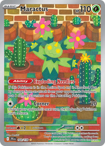 Maractus 160/159