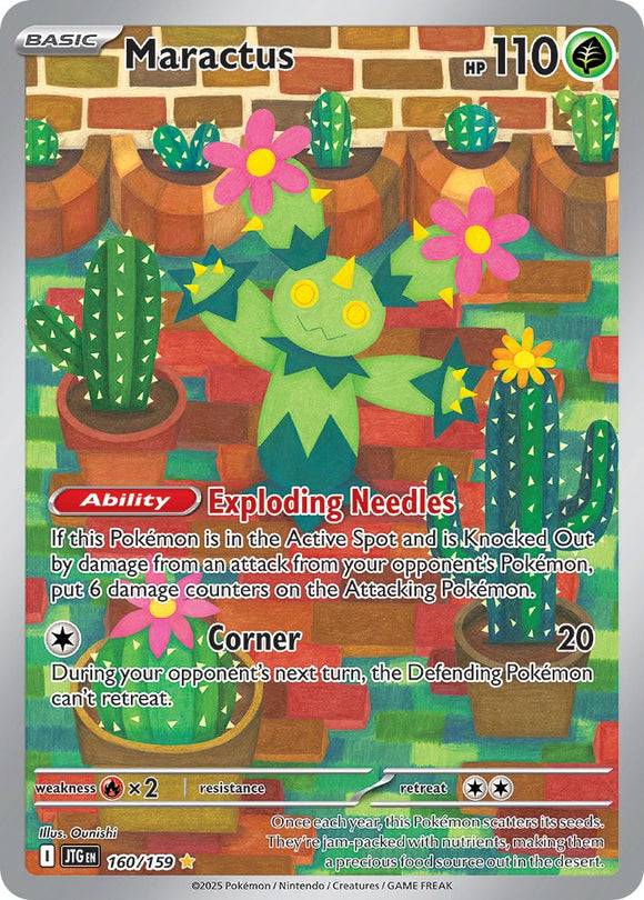 Maractus 160/159