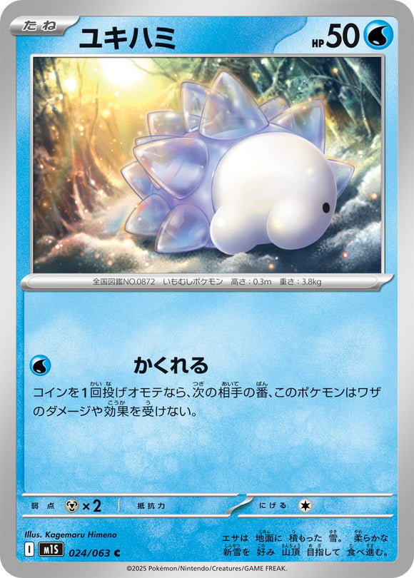 Snom 024/064