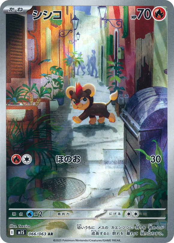 Litleo 066/064