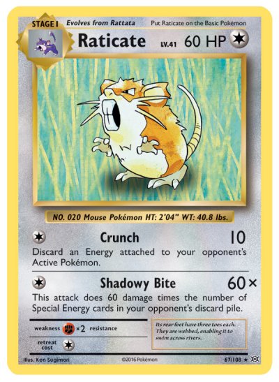 Raticate 067/108