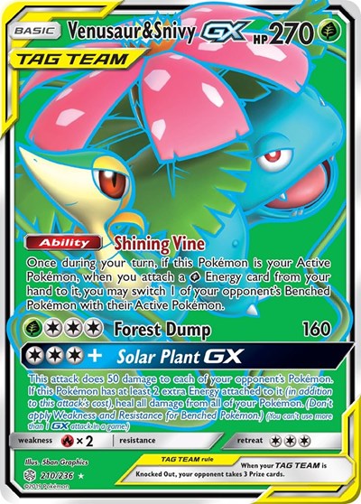 VENUSAUR & SNIVY GX 210/236